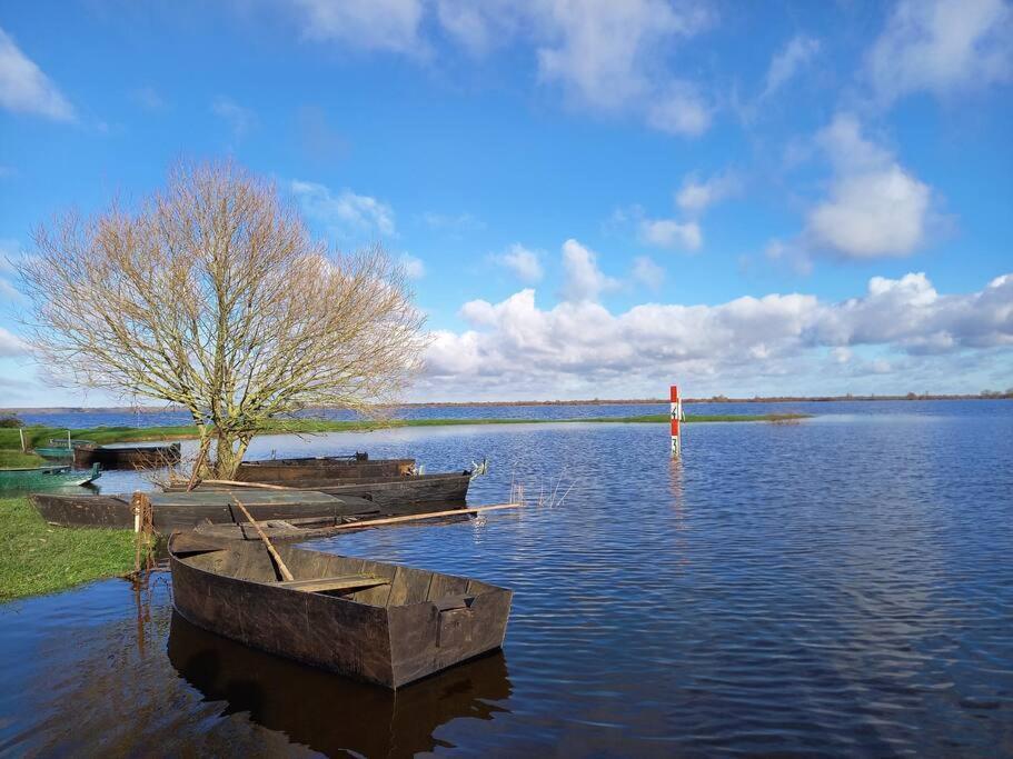 Lac Grand Lieu : Maisonnette Au Calme Avec Jardin Saint-Lumine-de-Coutais Exteriör bild